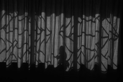 Silhouettes
