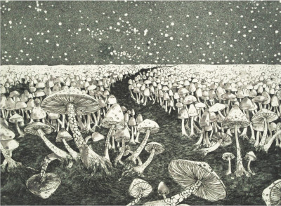 Unknown World