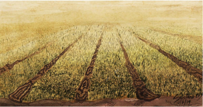 Land 7