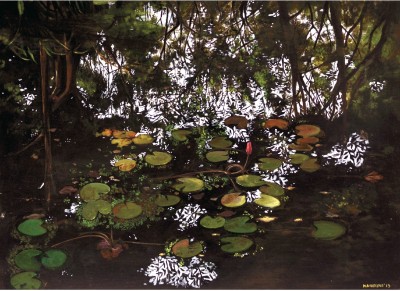 Water Lilies