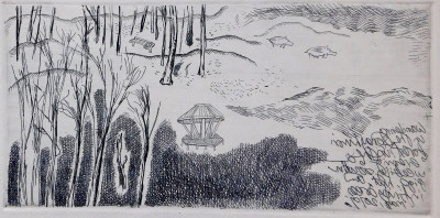 My Dilemma With Sonajhuri