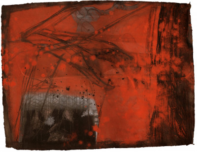 The Transit Visions VII