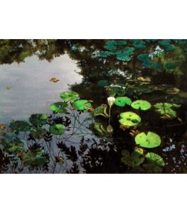 Lily Pond