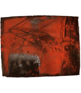 The Transit Visions VII