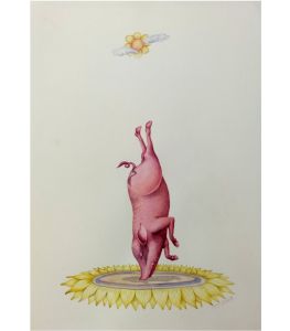 Balancing Act by Sanjay Kumar Raj