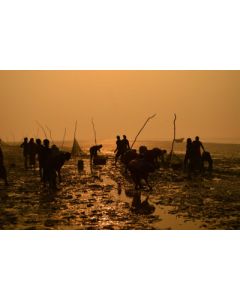 Fishy Business by Jayanta Shil