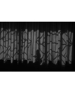 Silhouettes by photographer Debashish Manna