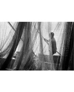 Entangled by photographer Debashish Manna