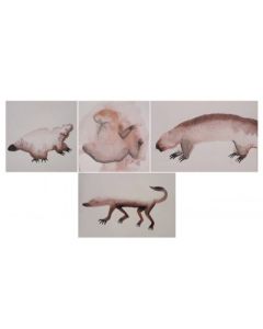 Suffers (7 X 8 Inch Each)