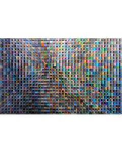 Unity in Diversity by Samba Prasad Das