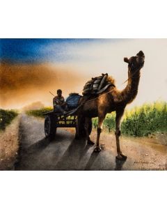 Scenes from Rural India