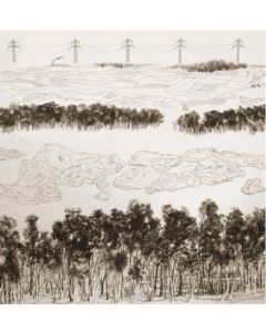 Landscape in  Monochrome