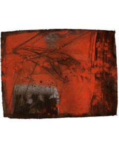 The Transit Visions VII