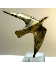 Bird by Sarbari Roy Choudhury