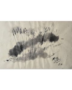 Reeds by Ganesh Haloi.