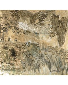 Bedrock by Veena Advani.