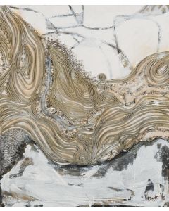 Swept Away by Veena Advani.